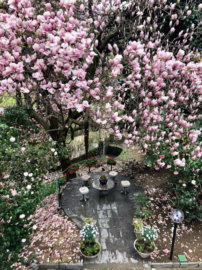 Villa Monica ลุยโน ภายนอก รูปภาพ